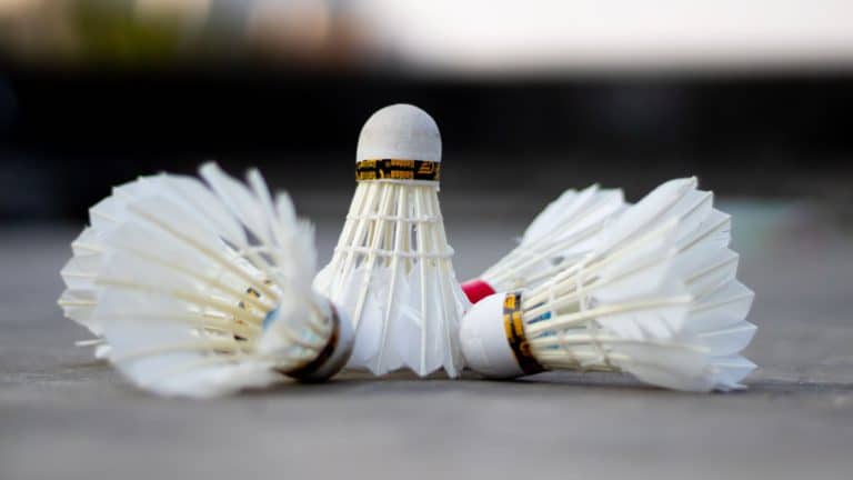 Le système de comptage des points au badminton